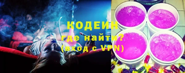 гашик Новозыбков