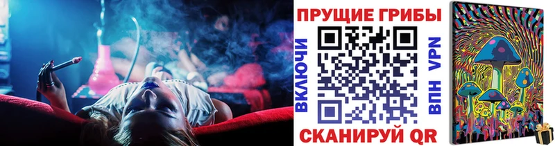 Купить  Жердевка  Псилоцибиновые грибы Magic Shrooms 