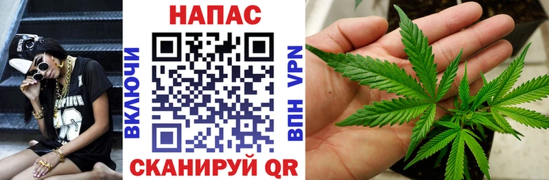 Купить закладки  Жердевка  Каннабис Ganja 
